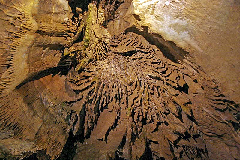Read more about the article Mammoth Cave National Park, KY (2008)