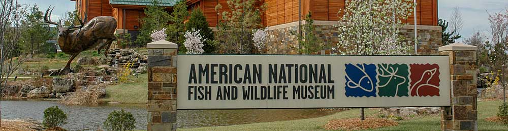 Read more about the article American National Fish Wildlife Museum (2004)