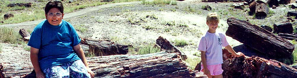 Read more about the article Petrified Forest National Park, AZ