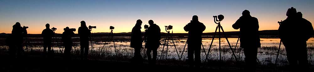You are currently viewing Bosque Del Apache – General (2004)