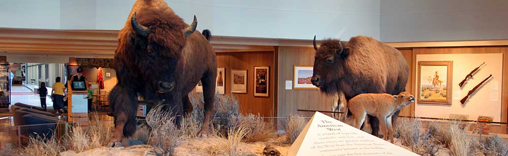 You are currently viewing Buffalo Bill Center of the West, WY (2007)
