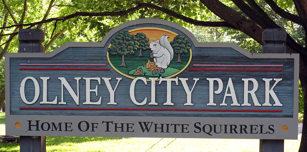 Read more about the article Olney, IL – Home of the White Squirrels (2019)