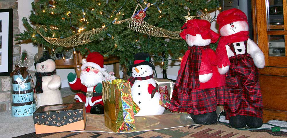 Read more about the article Christmas – 2006