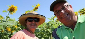 Read more about the article Eckert’s Sunflower Maze, IL (2019)